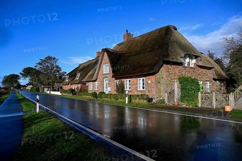 Thatched roof house on Junkersmitteldeich, Pellworm Island, Schleswig-Holstein Wadden Sea National Park, North Frisia, Germany, Europe