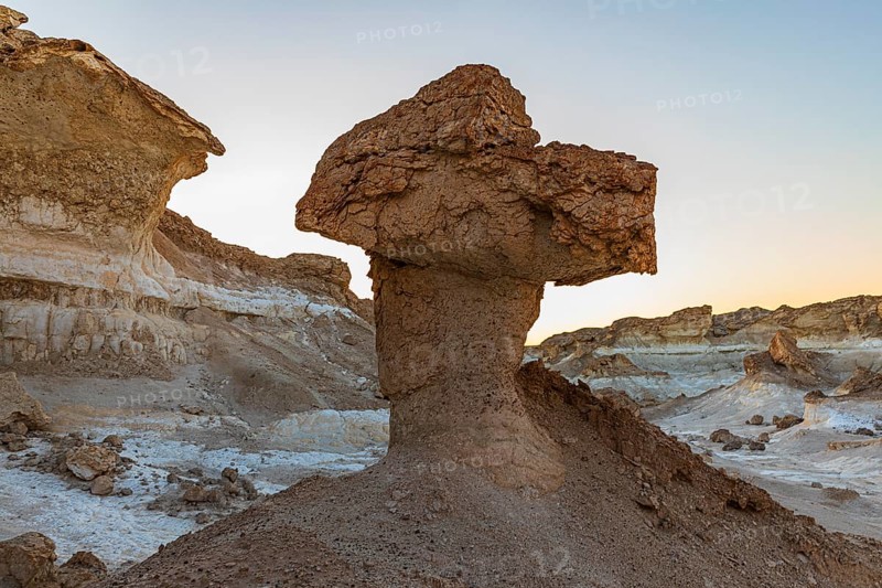 Eroded, mushroom-like rock formations on a fossilised reef edge, Huqf stone desert, Arabian Peninsula, Sultanate of Oman