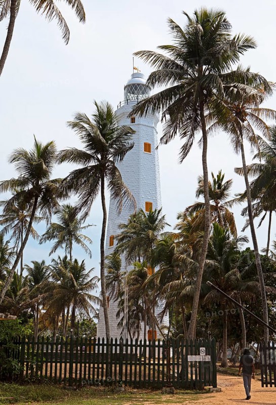 Dondra Head Lighthouse or lighthouse in coconut trees, Dondra, Southern Province, Sri Lanka, Asia