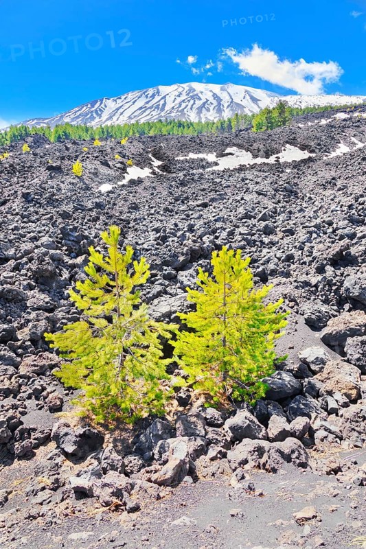 View of lava fields and snow-capped peaks in the distance, Etna, Sicily, Italy, Europe