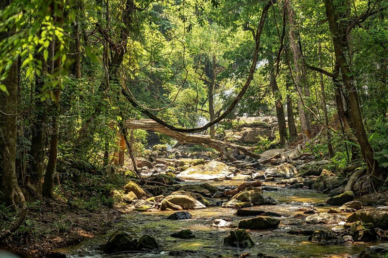The Mae Klang River on the Pha Dok Sieo Nature Trail in Doi Inthanon National Park, Chiang Mai, Thailand, Asia