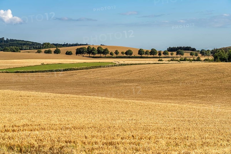 Landscape on the island of Mön, Denmark, Europe