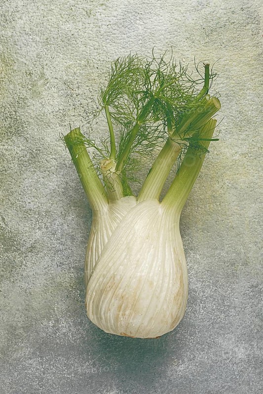 Fennel, bulb, dill root, fresh, top view