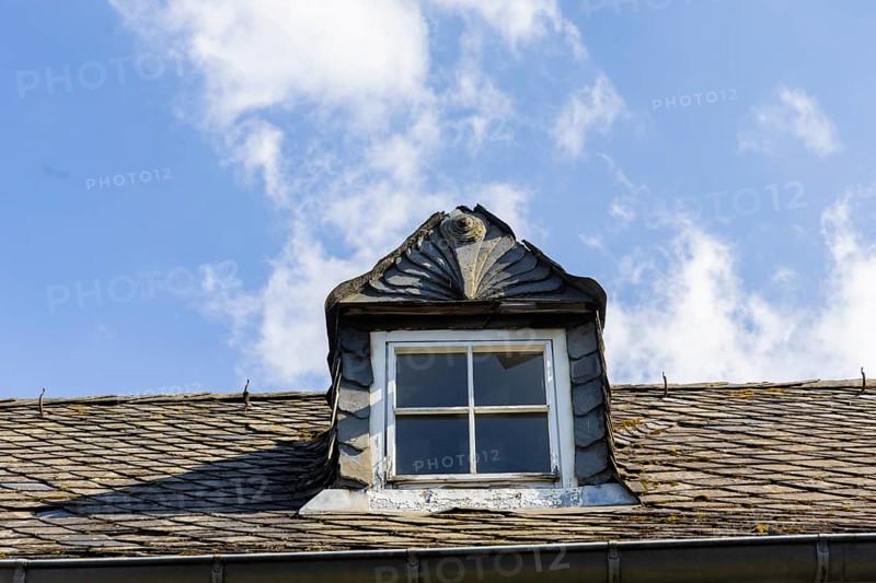 Particularly ornate slate decorations, Old Town, Goslar, Lower Saxony, Germany, Europe
