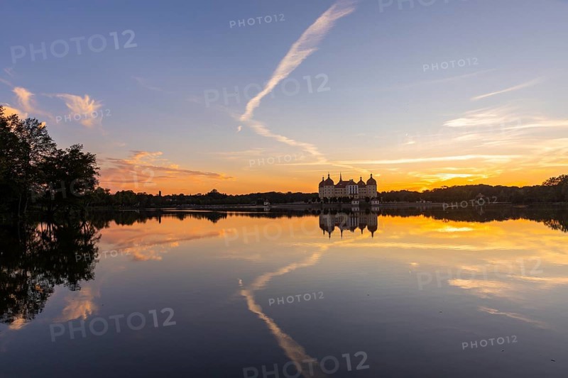 The moated castle, also known as a film set, lies in the middle of a lake and is a popular excursion destination. A pair of swans have built their nest on the lake shore, Moritzburg Baroque Castle, Moritzburg, Saxony, Germany, Europe