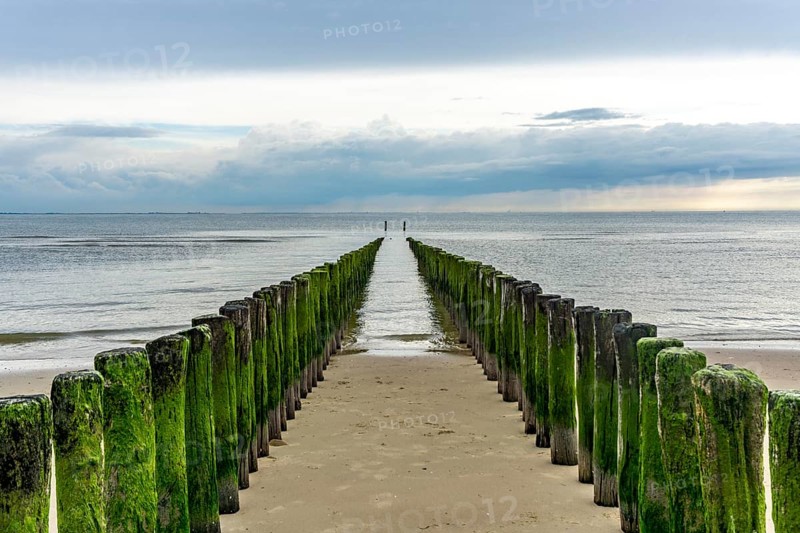 North Sea coast in Zeeland, called Zeeland Riviera, breakwater, made of wooden piles, near Zoutelande, municipality of Veere, Netherlands