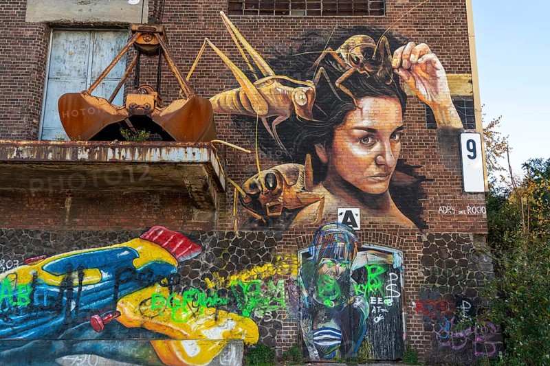 Mural by Mexican paintress and 3D artist Adry del Rocio, on an old harbour building, part of the Rhine Side Gallery in Krefeld, North Rhine-Westphalia, Germany, Europe