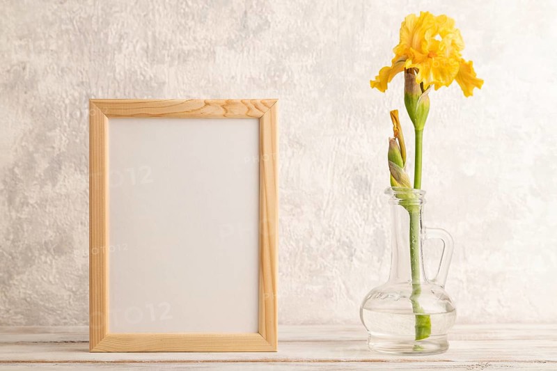 Wooden frame with yellow iris flower in glass on gray concrete background. side view, copy space, mockup, template, spring, summer minimalism concept