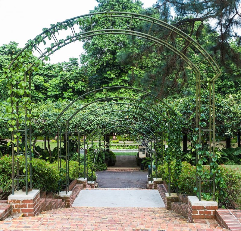 Arches with plants in the Botanic Garden of Singapore