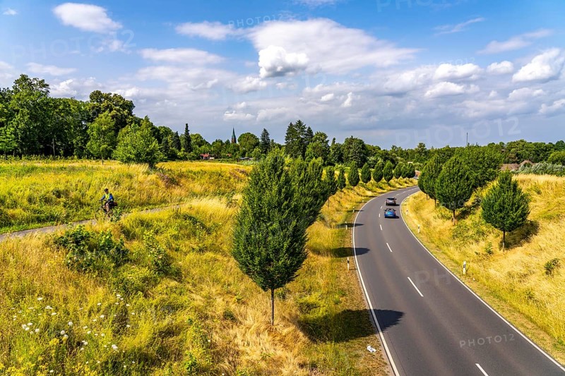 Dorstfelder Allee in Dortmund, completely new road built in 2013, former farmland, in the Dorstfeld district, Tuscany-style tree avenue with 92 new trees, North Rhine-Westphalia, Germany, Europe