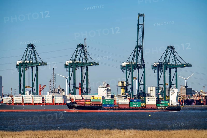 The port of Antwerp, on the Scheldt, is the second largest seaport in Europe, Container Terminal lPSA Europa Terminal, Flanders, Belgium, Europe