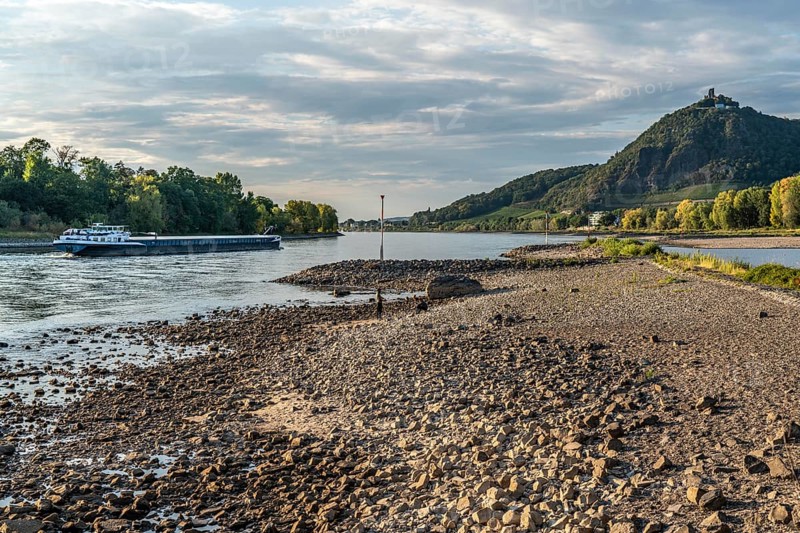 The Rhine at extremely low water, near Bad Honnef Rhöndorf, below the Drachenfels, Nonnenwerth Island, dry Rhine banks, cargo ship, with very reduced cargo, North Rhine-Westphalia, Germany, Europe