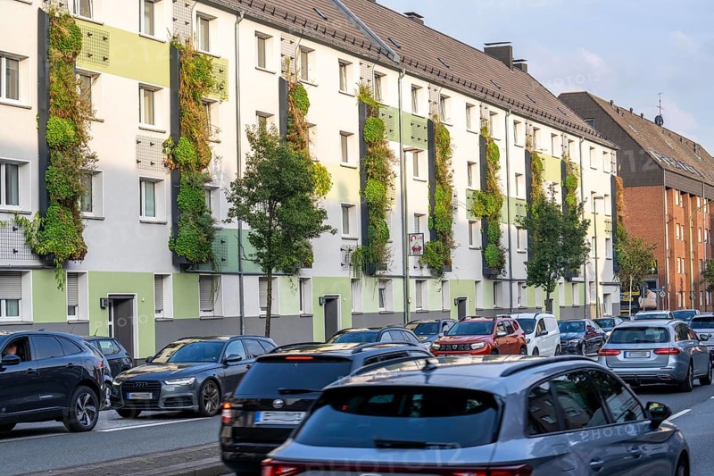 Facade greening on apartment blocks, on Gladbecker Straße, B224, to filter nitrogen oxides and fine dust particles from the air, climbing vines, flowering shrubs, grasses, ferns and ivy grow in the vertical gardens, Essen, North Rhine-Westphalia, Germany, Europe