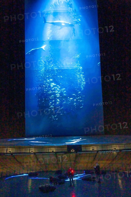 Plante Ozean exhibition in the Gasometer in Oberhausen, the world's oceans in their fragile beauty are the focus of the new exhibition, large-format photos, exhibits including a whale skeleton and an immersive large-scale video and sound installation, The Wave, on a 40 metre high screen measuring over 1000 square metres in total can be seen, Oberhausen, Germany, Europe