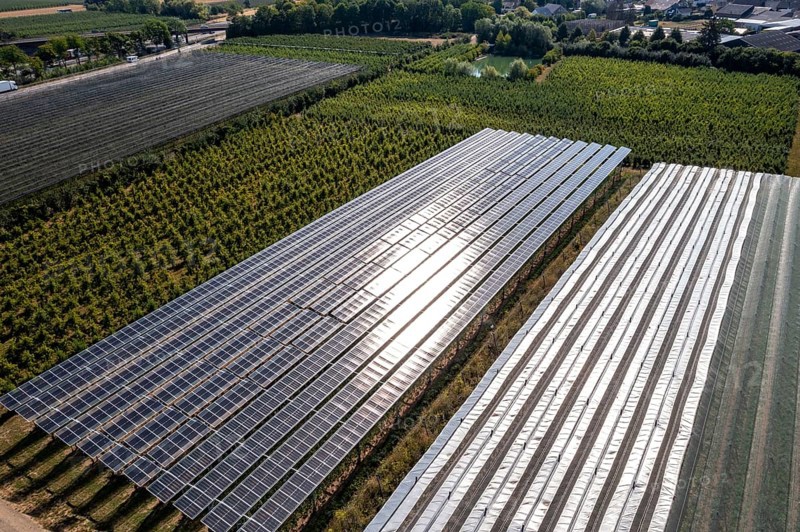 Agri-photovoltaic test plant, an apple orchard with two different systems of PV modules was roofed over 3000 square metres, rain and sunlight comes through, at the same time protection against hail and heavy rain, next to it are the same trees but without a solar roof, as a comparison object, how the PV roof affects the trees and harvest, the field test is accompanied by the Fraunhofer Institute for Solar Energy Systems ISE, in Grafschaft-Gelsdorf, Rhineland-Palatinate, Germany, Europe