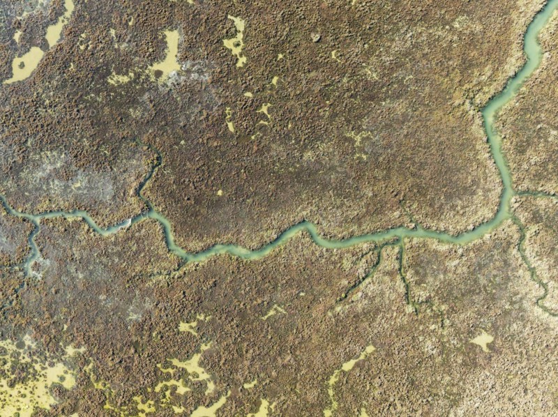 Marshland at low tide. Nature Reserve La Breña y Marismas del Barbate. Aerial view. Drone shot. Cádiz province, Andalusia, Spain, Europe