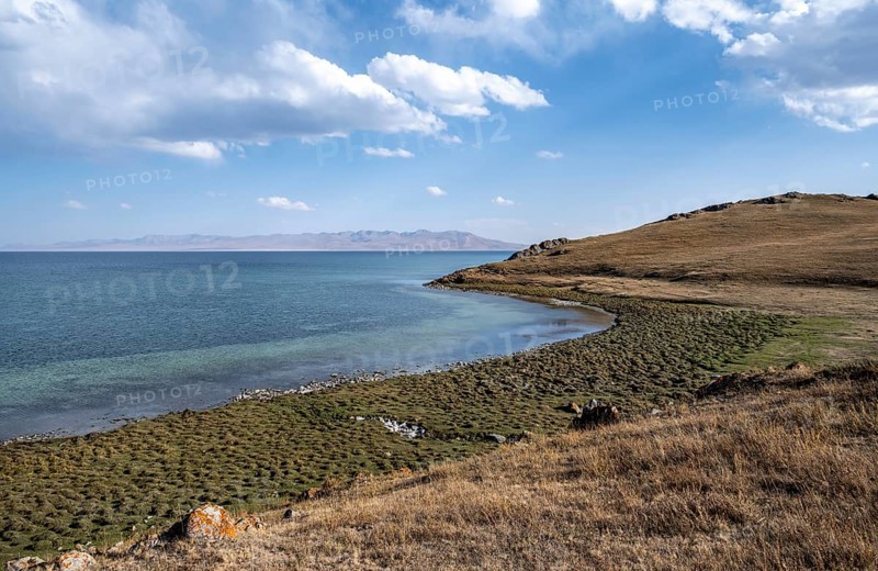 Meadow on the shore of Song Kul mountain lake, Naryn region, Kyrgyzstan, Asia