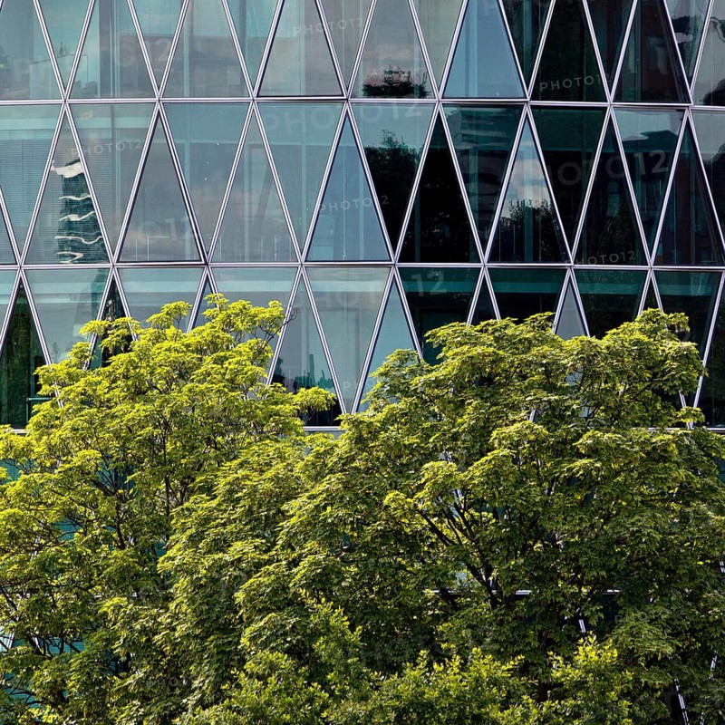 Green tree in front of the Westhafen Tower with a diamond-shaped, petrol-coloured façade structure reminiscent of an apple wine glass, Frankfurt am Main, Hesse, Germany, Europe