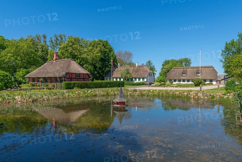 Island of Skarø, Skaroe, thatched half-timbered houses around the village pond, water reflection, duck house, idyll, Danish South Sea, group of trees, Sydfyn, South Funen, Denmark, Europe