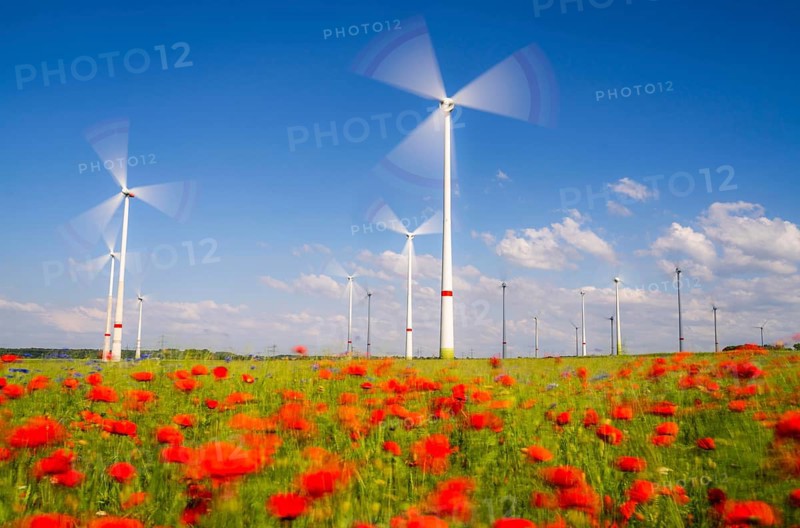 Wind farm, field with flower strips, insect-friendly border of fields with mixed flowers, poppies, north of Marsberg, Hochsauerlandkreis, North Rhine-Westphalia, Germany, Europe