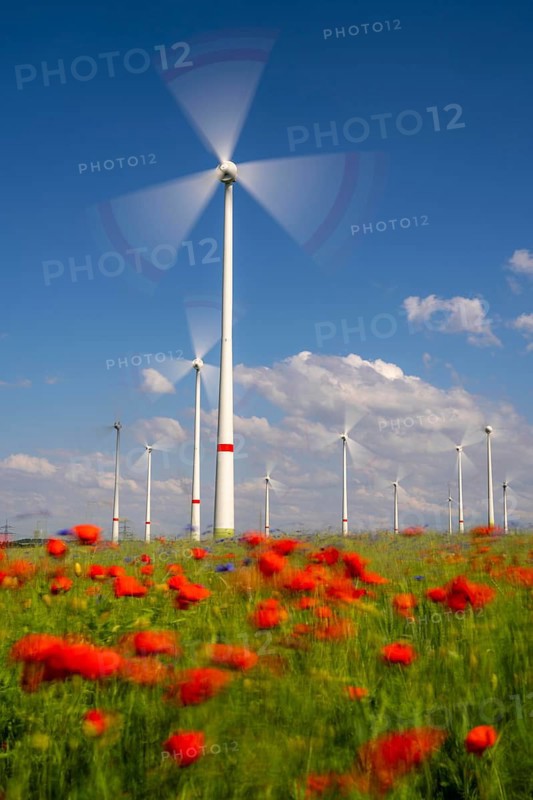 Wind farm, field with flower strips, insect-friendly border of fields with mixed flowers, poppies, north of Marsberg, Hochsauerlandkreis, North Rhine-Westphalia, Germany, Europe