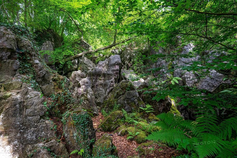 The Felsenmeer in Hemer, Sauerland, geotope, with rugged rock formations, nature reserve, North Rhine-Westphalia, Germany, Europe