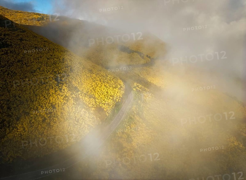 Aerial view of road among yellow Cytisus blooming shrubs near Pico do Arieiro, Portugal in clouds