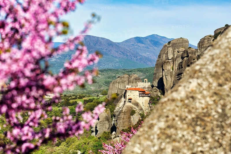 Pink blossoms of the Judas tree (Cercis), love tree, view of Meteora, blue sky, spring weather, Thessaly, Greece, Europe