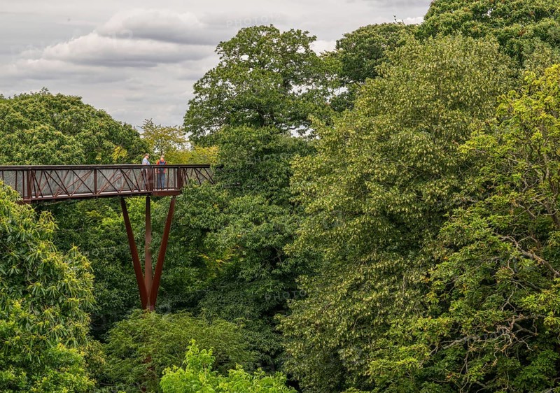 Visitors on the Treetop Walkway, steel structure, Royal Botanic Gardens (Kew Gardens), UNESCO World Heritage Site, Kew, Greater London, England, United Kingdom, Europe