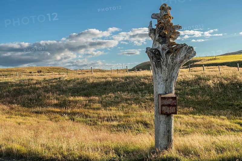 Letterbox attached to a driftwood trunk, Steingrímsfjörður, Westfjords, Northwest Iceland, Iceland, Europe