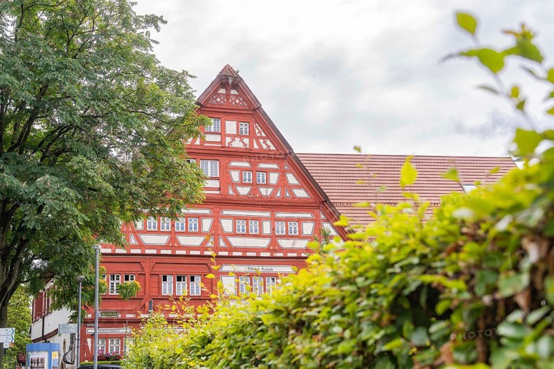 Large half-timbered building behind a large tree under a cloudy sky, Kirchheim Teck, Germany, Europe