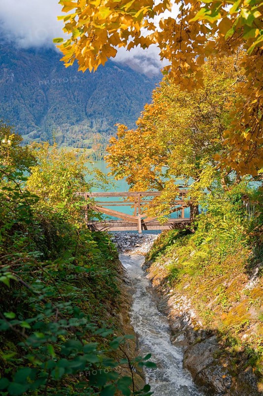 A small stream flows under a wooden bridge, surrounded by autumn-coloured foliage, Lake Brienz, Switzerland, Europe