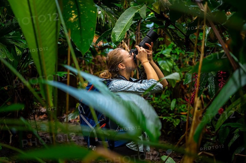 Tourist taking photos in the rainforest, dense vegetation, Tortuguero National Park, Costa Rica, Central America