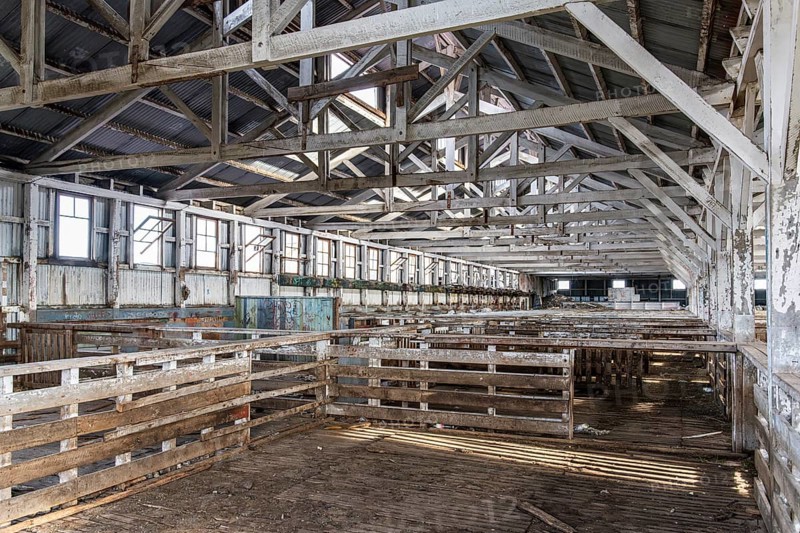 Sheepfolds inside the shearing shed, Estancia San Gregorio, Puente Alto, Metropolitan Region, Chile, South America