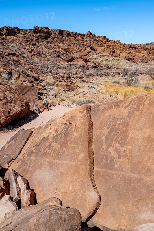 Depictions of animals on a rock slab, petroglyphs, rock engravings, Twyfelfontein, Kunene, Namibia, Africa