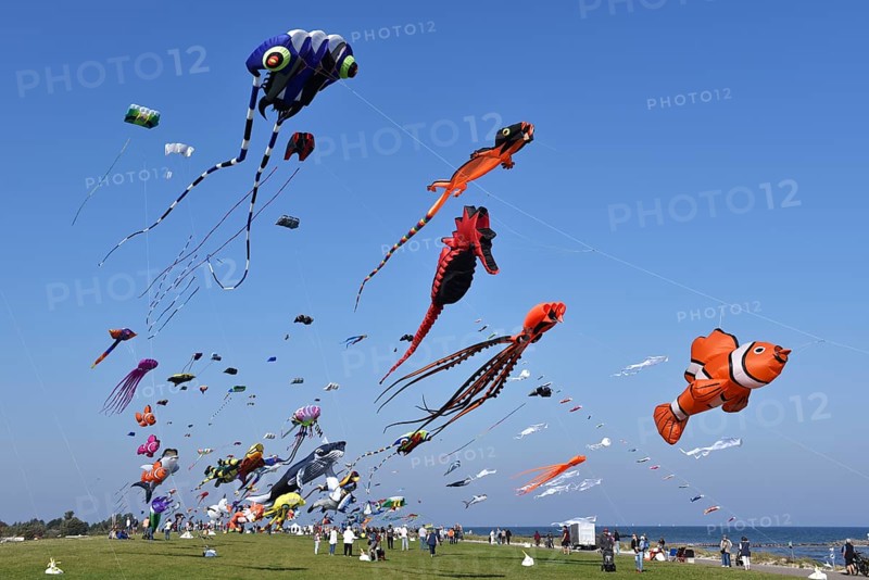 Kite festival, flying kites on Schönberg beach, Schleswig-Holstein, Germany, Europe
