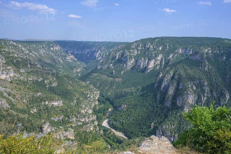 View from Point Sublime into the Tarn Gorge, Massegros Causses Gorges, Département Lozère, France, Europe
