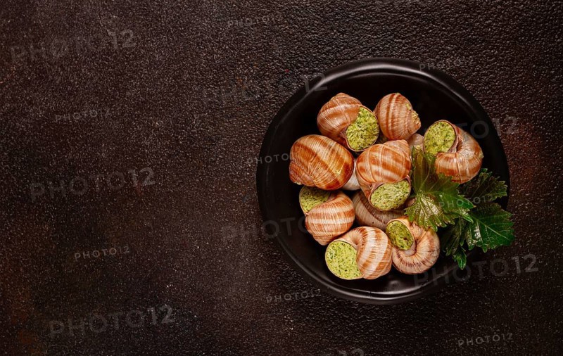 Snails stuffed in Burgundy, on a black plate, with grape leaves, French cuisine, no people