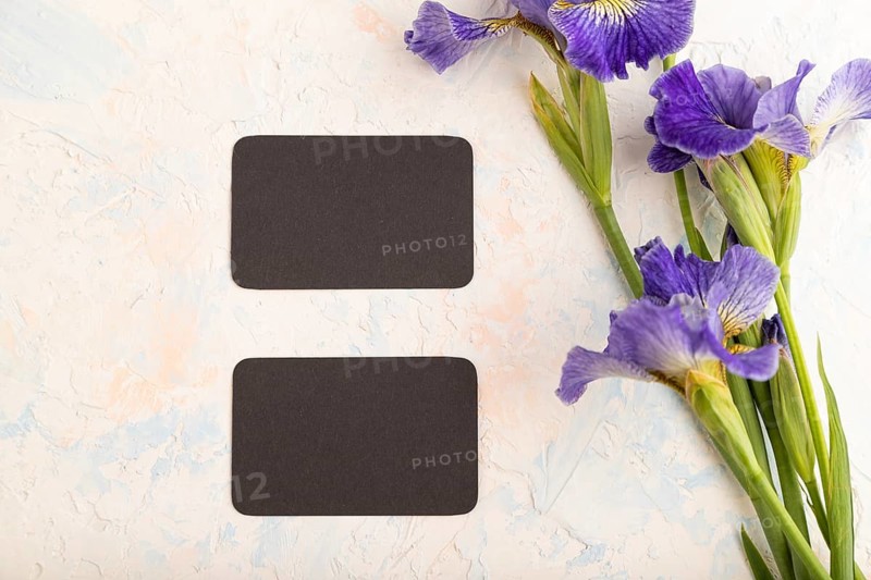 Black business card with blue iris flowers on white concrete background. top view, flat lay, copy space, still life. Breakfast, morning, spring concept