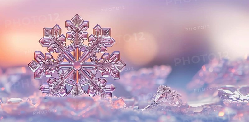 Beautiful natural snowflake close-up in A snowy winter scene banner. generative AI., AI generated