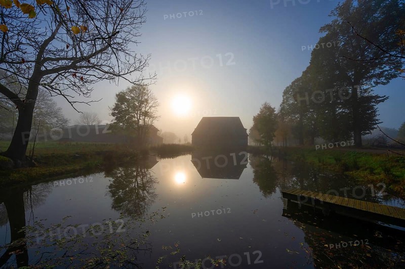 Morning sun over the estate pond on a foggy morning at Gut Othenstorf, Othenstorf near Rehna, Mecklenburg-Vorpommern, Germany, Europe