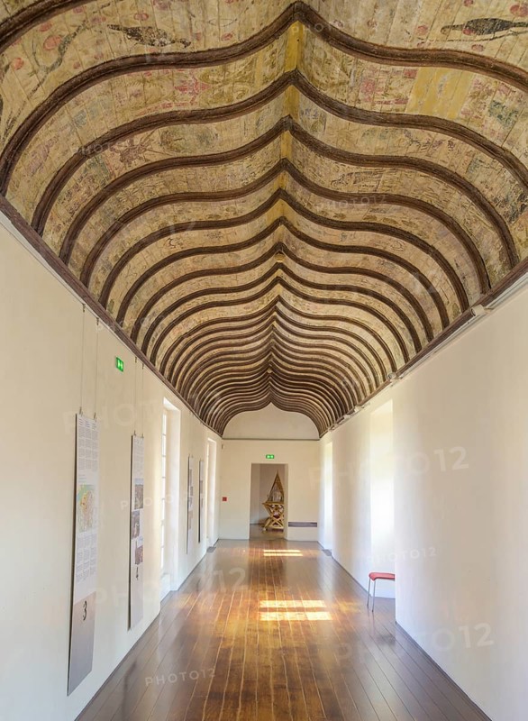 Ceiling fresco on a wooden ceiling in the Toulouse-Lautrec Museum in the Palais de la Berbie, Albi, Département Tarn, France, Europe