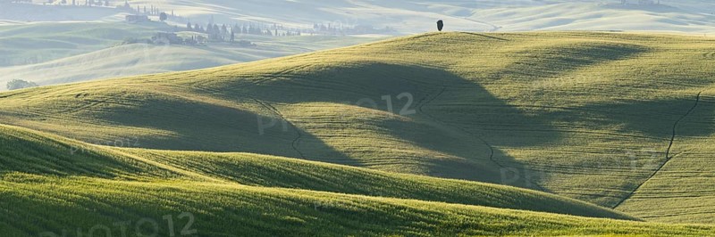 Landscape at sunrise around Pienza, Val d'Orcia, Orcia Valley, UNESCO World Heritage Site, Province of Siena, Tuscany, Italy, Europe
