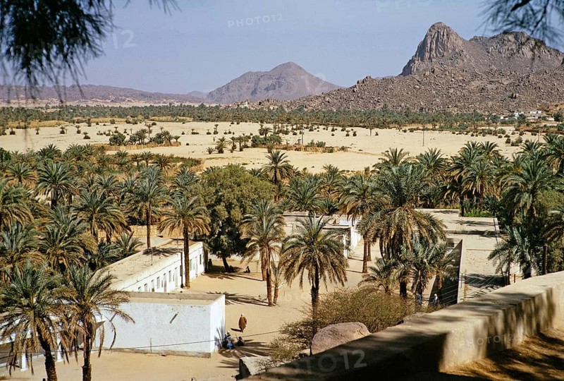 Date palms and buildings of the oasis settlement of Djanet in the Sahara Desert, Algeria, North Africa 1973, Africa