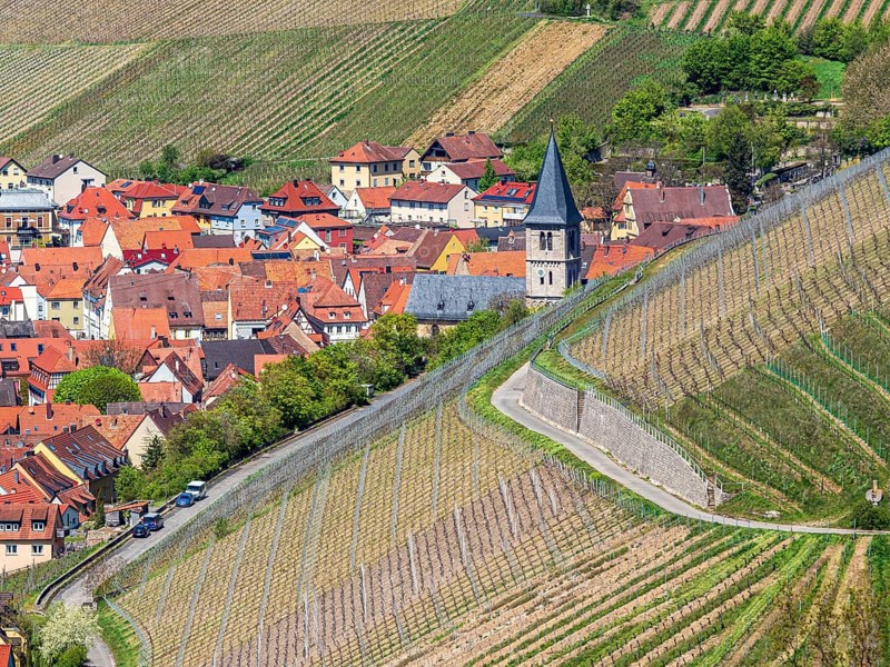 Village Randersacker east of Würzburg surrounded by vineyards, seen from viewpoint terroir f, Germany, Europe