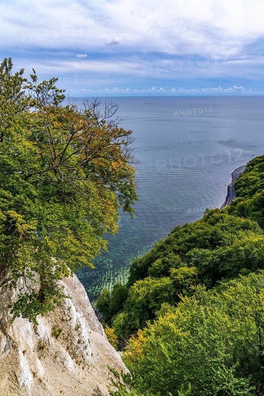 Chalk cliffs of Rügen, Königsstuhl rock formation, in the Jasmund National Park, view of the Baltic Sea and the chalk cliff coast, between Sassnitz and Lohme, Mecklenburg-Western Pomerania, Germany, Europe