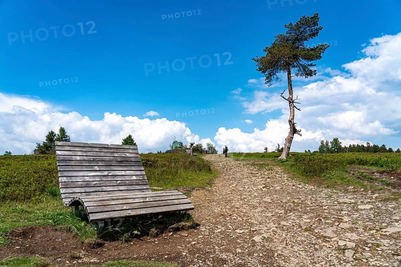 Landscape on the Kahler Asten, mountain, in the Hochsauerland district, Hochheide, North Rhine-Westphalia, Germany, Europe