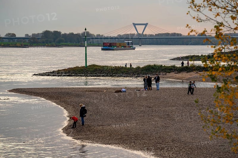 Walkers on the Rhine beach between Düsseldorf and Krefeld, container cargo ship, behind the airport bridge of the A44 motorway, Lower Rhine landscape, North Rhine-Westphalia, Germany, Europe
