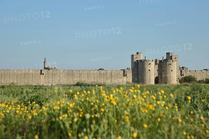 Porte de la Reine, town gate and historic town fortifications with town wall, Aigues-Mortes, Gard, Camargue, Provence, France, Europe