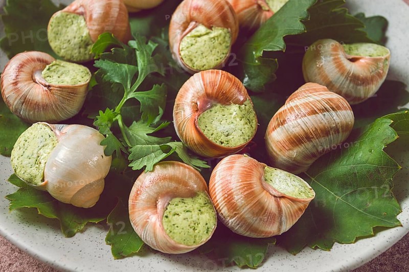 Grape snails, stuffed in burgundy, french cuisine